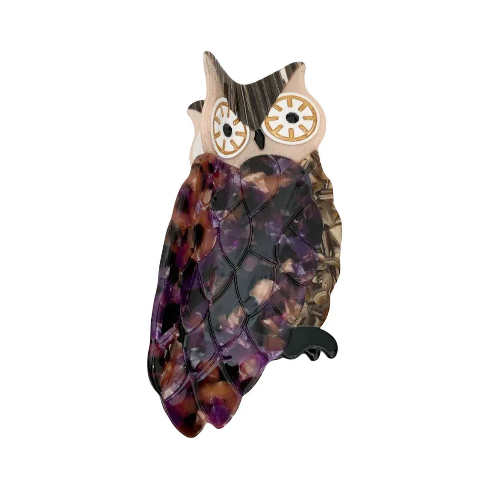 Acrylic owl hair clip Main image