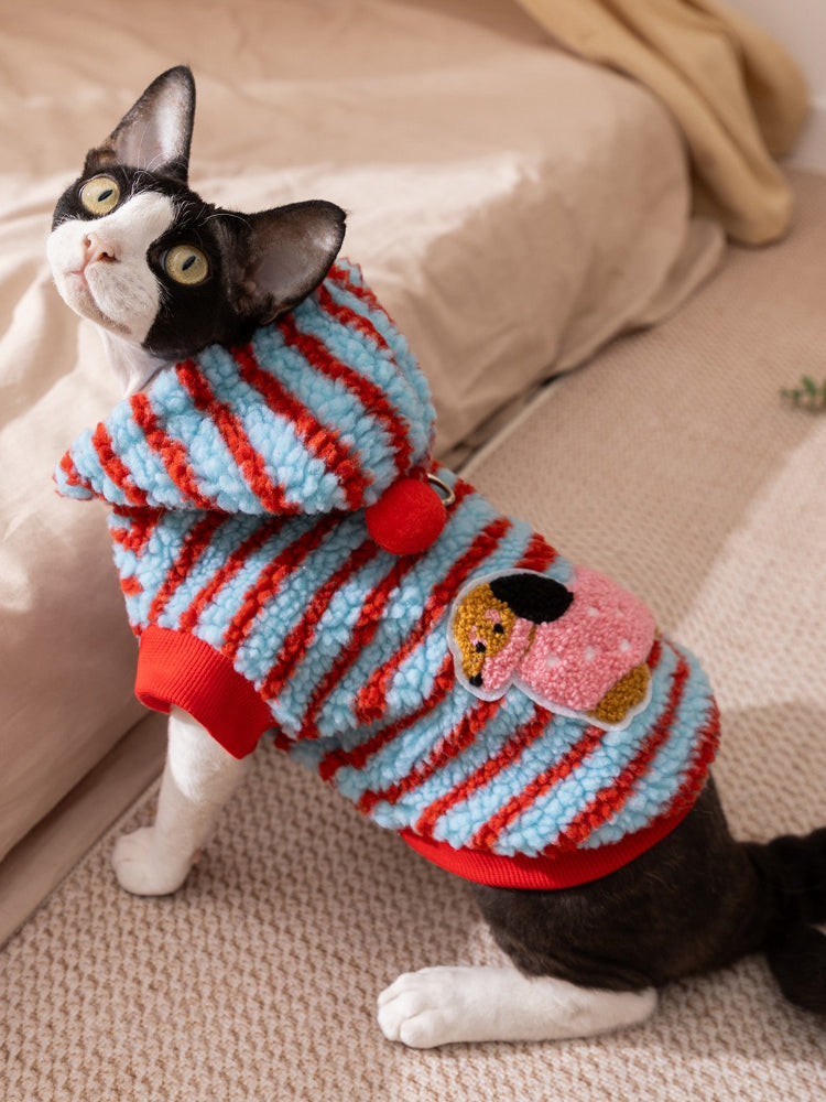 Sphynx cat wearing a blue and red striped sherpa fleece hoodie with a hood and a pink applique on the back.