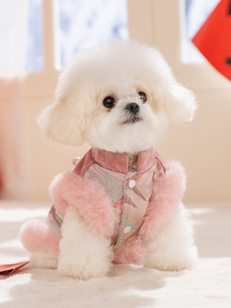 White fluffy dog wearing a pink and green traditional Chinese-style coat with faux fur trim