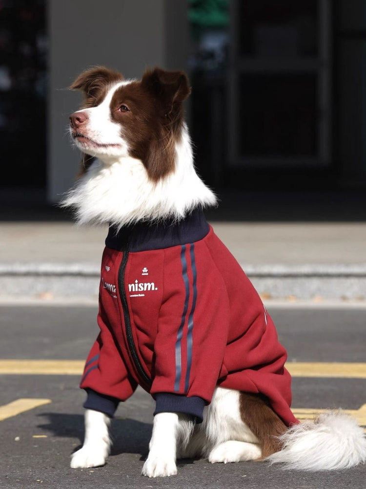 Sporty Zip-Up Fleece Track Jacket For Large Dogs