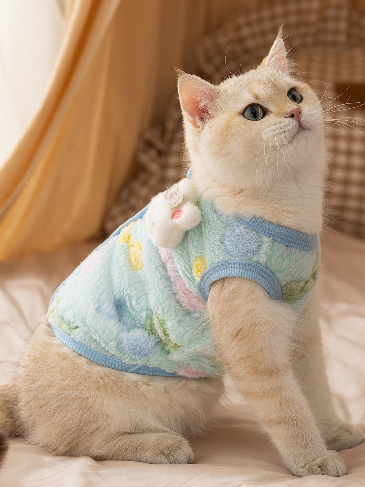 A cream-colored cat with striking blue eyes, wearing a light blue fleece vest with a charming pattern.