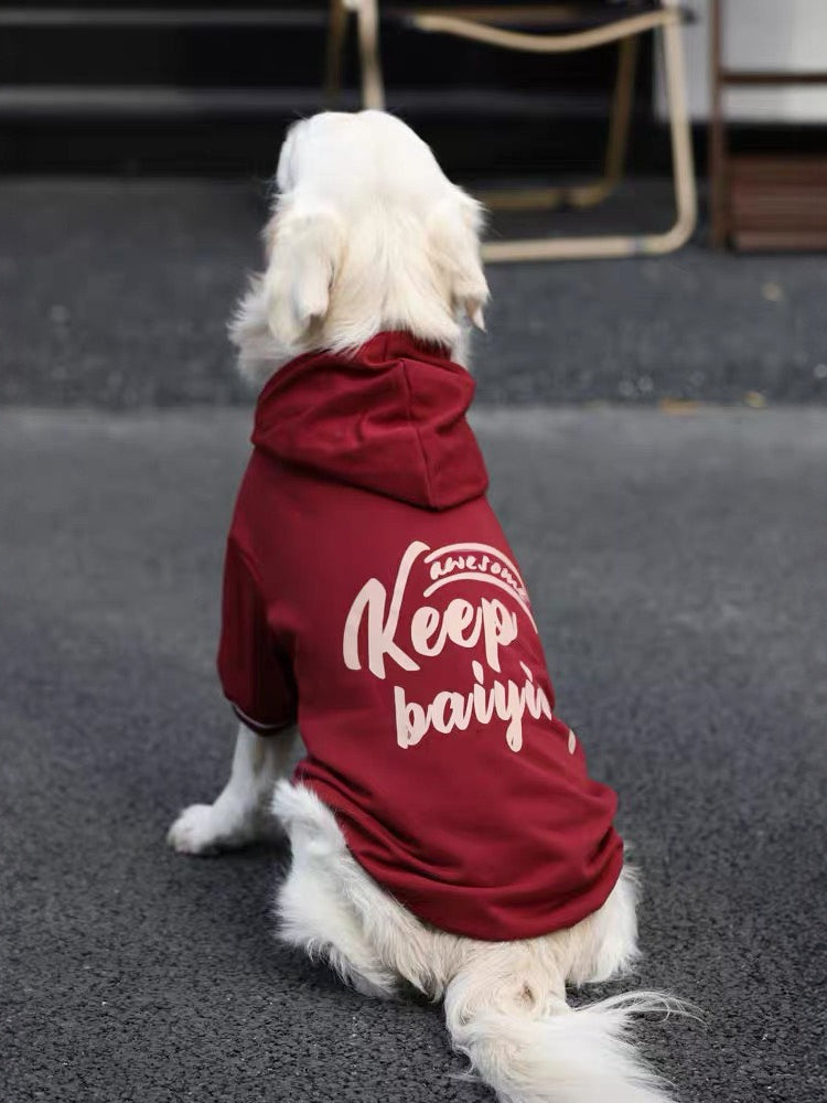 Golden Retriever dog wearing a burgundy hoodie outdoors, rear view.