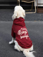 Golden Retriever dog wearing a burgundy hoodie outdoors, rear view.