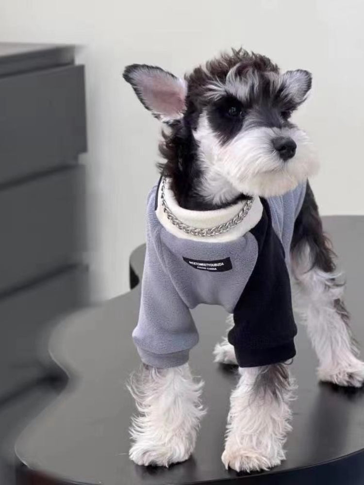 Miniature Schnauzer dog standing on a black surface, wearing a grey and black color-blocked fleece sweater with a decorative silver chain around the mock neck.