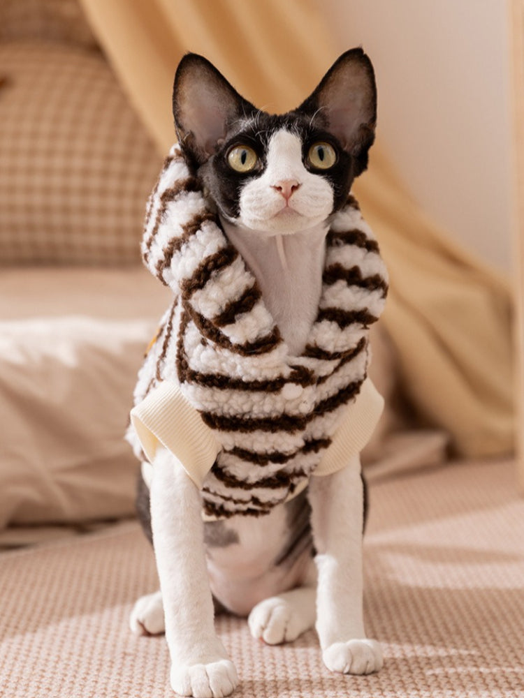 Sphynx cat wearing a brown and white striped sherpa fleece hoodie with a hood, looking forward.
