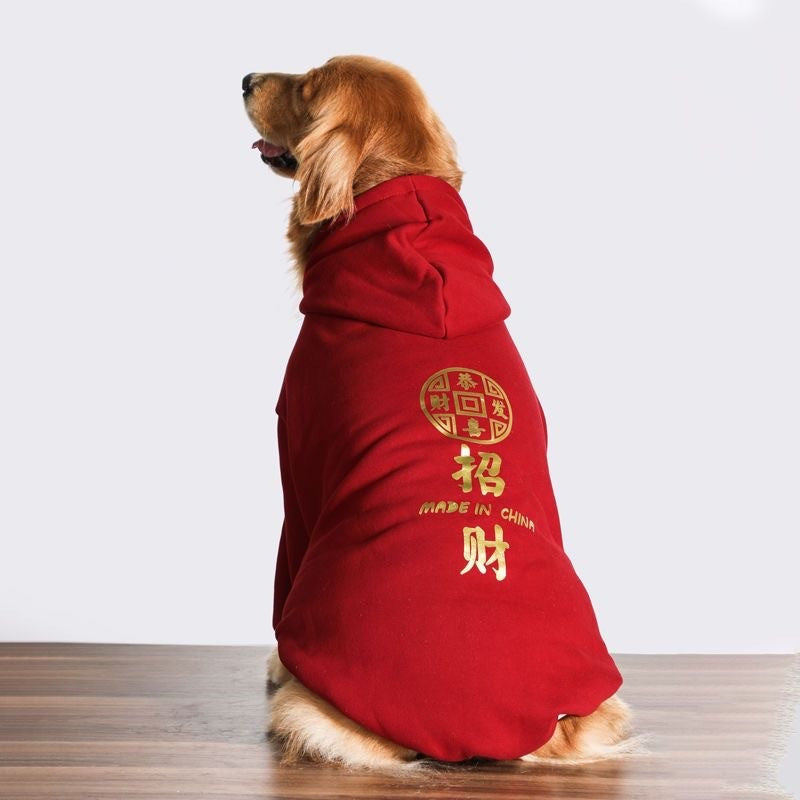Side view of a golden retriever dog wearing a red hoodie with Chinese characters on the back
