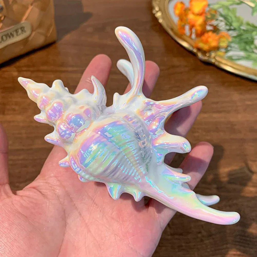 Two seashell hair clips, one iridescent and one white, held in a hand