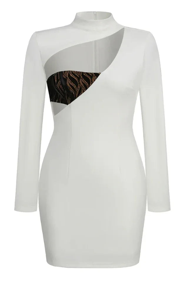 Rora Lace Cutout Mini Dress - View 8 | TEVQA