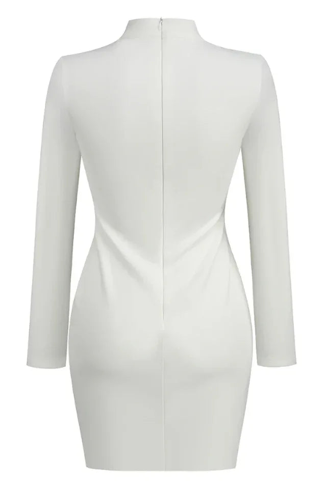 Rora Lace Cutout Mini Dress - View 9 | TEVQA