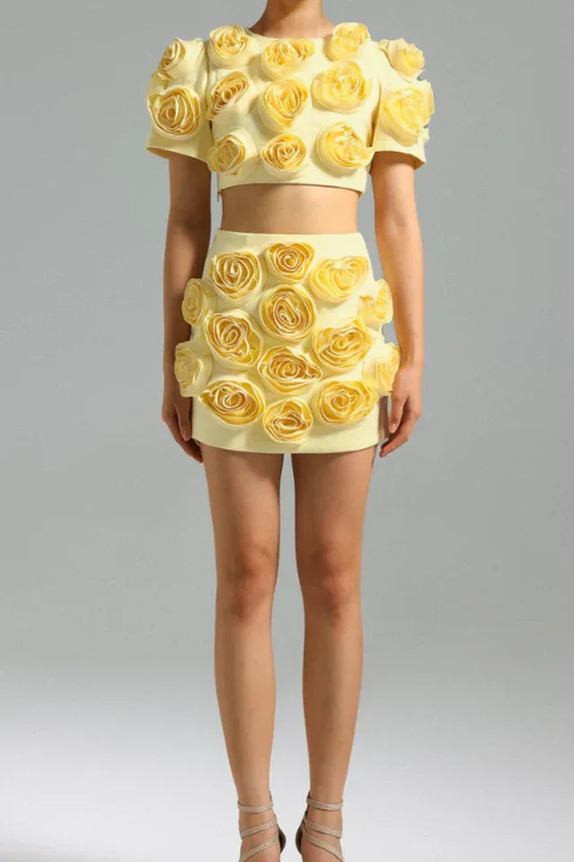 Floral Applique Cropped Top & Skirt Set Secondary image