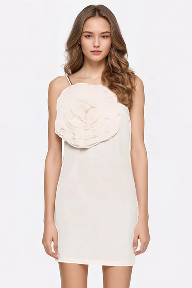 Floral Appliqu¨¦ Gabardine Mini Dress | Dress In Beauty