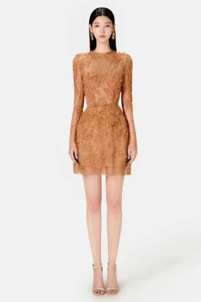 Full body shot of a model in a brown lace mini dress, front view against a white background.