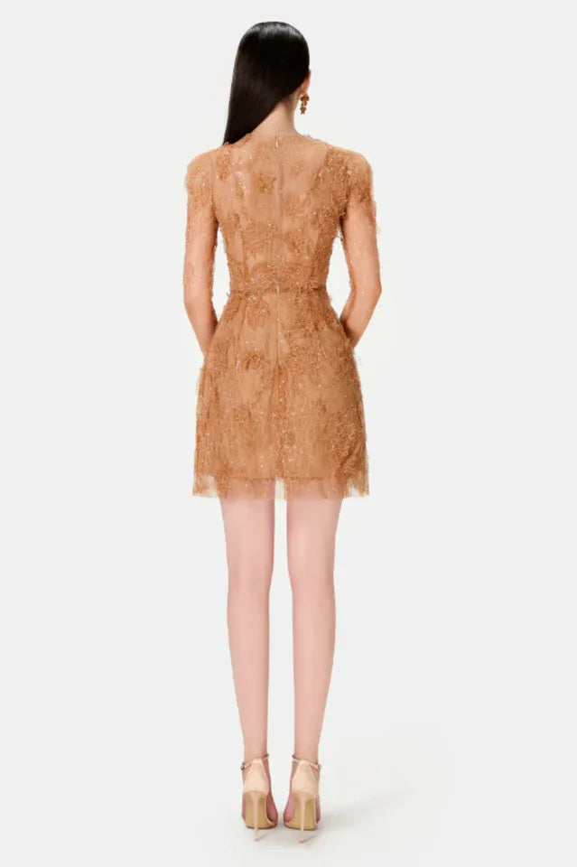 Back view of a model in a brown lace mini dress.