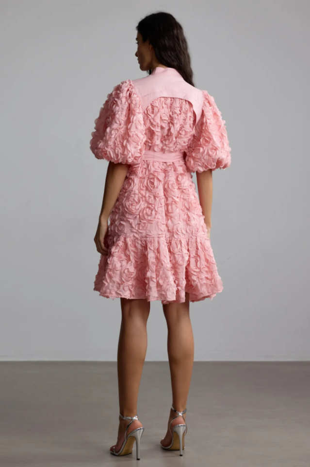 Emeline 3D Floral Mini Dress | Dress In Beauty