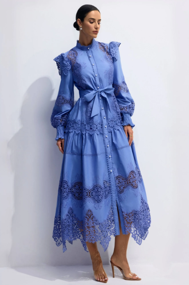 Alina Embroidered Lace Midi Dress