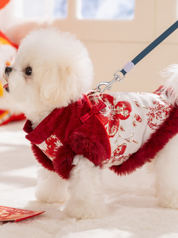 Side view of a white fluffy dog wearing a red and gold traditional Chinese-style coat, attached to a leash