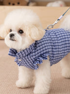 A white bichon frise dog wearing a blue plaid dog vest with ruffled sleeves, with a leash attached.