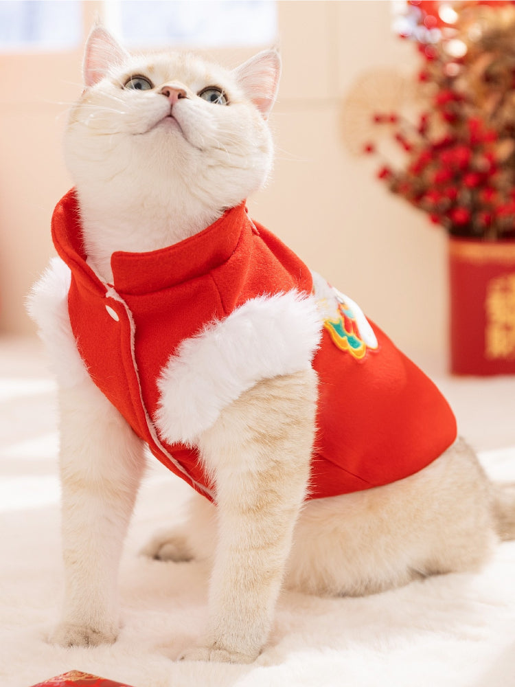 Cat in a red Chinese-style vest with white trim, looking upwards.