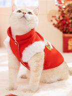 Cat in a red Chinese-style vest with white trim, looking upwards.
