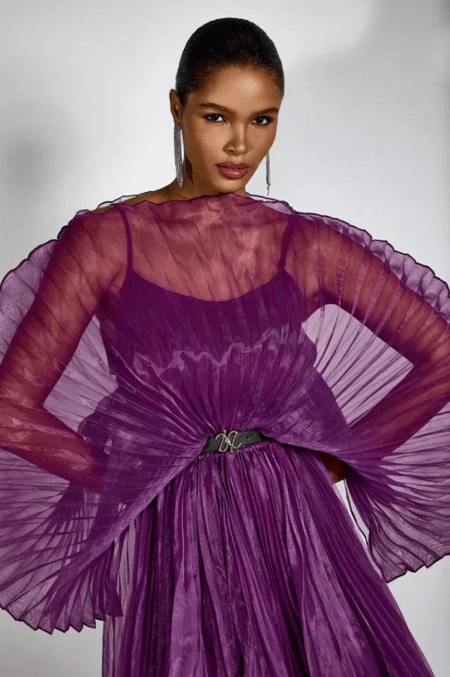 Amanda Semi-sheer Pleated Maxi Dress - TEVQA
