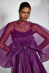 Amanda Semi - sheer Pleated Maxi Dress - Tevqa