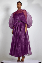 Amanda Semi - sheer Pleated Maxi Dress - Tevqa