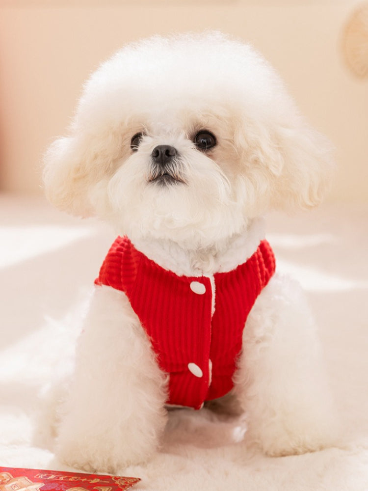 White fluffy dog wearing a red corduroy vest with white buttons