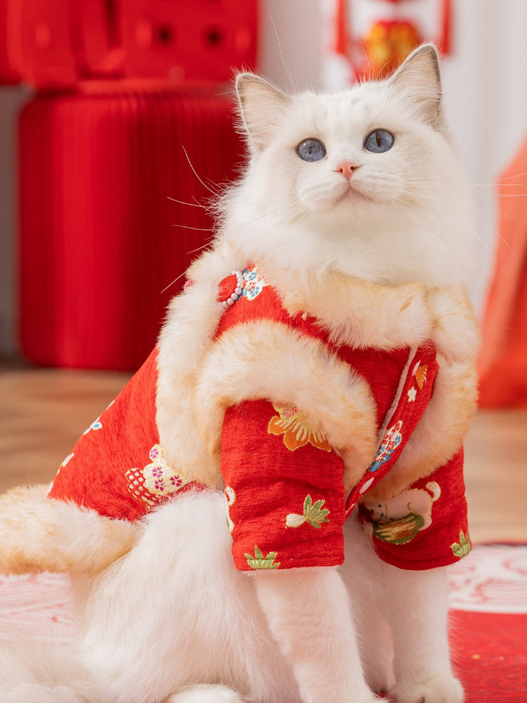 Close-up of a white cat with blue eyes wearing a red traditional Chinese jacket with embroidered floral patterns and faux fur trim, looking upwards.