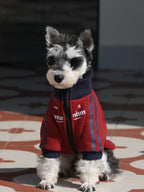 Miniature schnauzer dog wearing a red zip-up jacket with navy blue trim and stripes, looking forward