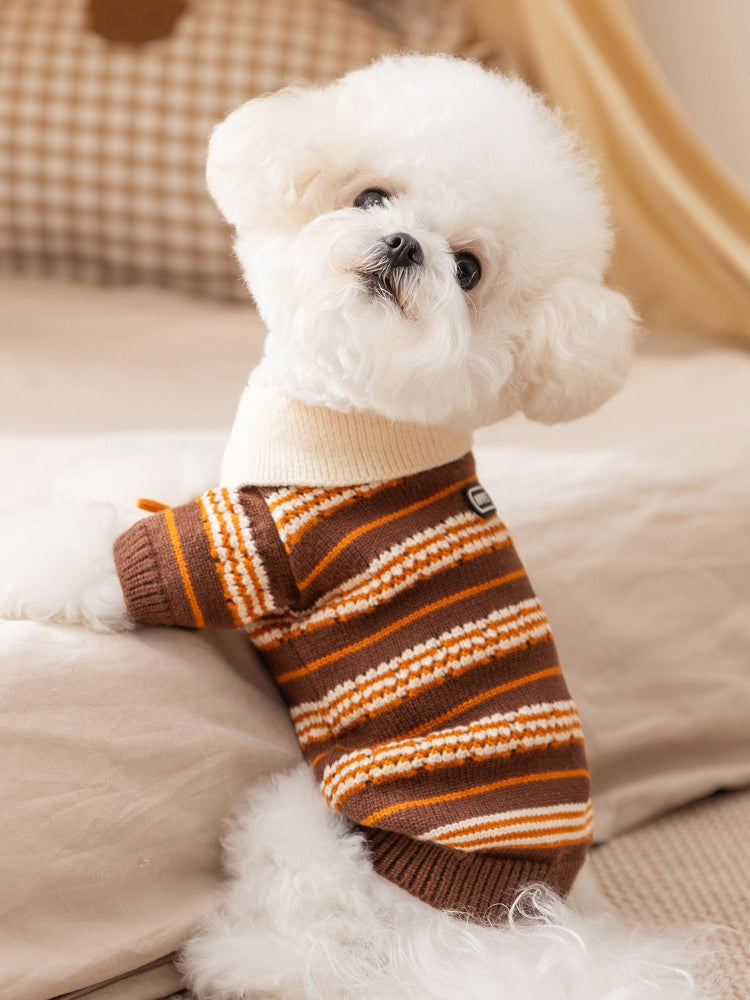 White Bichon Frise dog sitting on a bed, leaning forward, wearing a brown and orange striped sweater