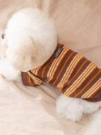 Back view of a white Bichon Frise dog wearing a brown and orange striped knit sweater with a brand logo tag.