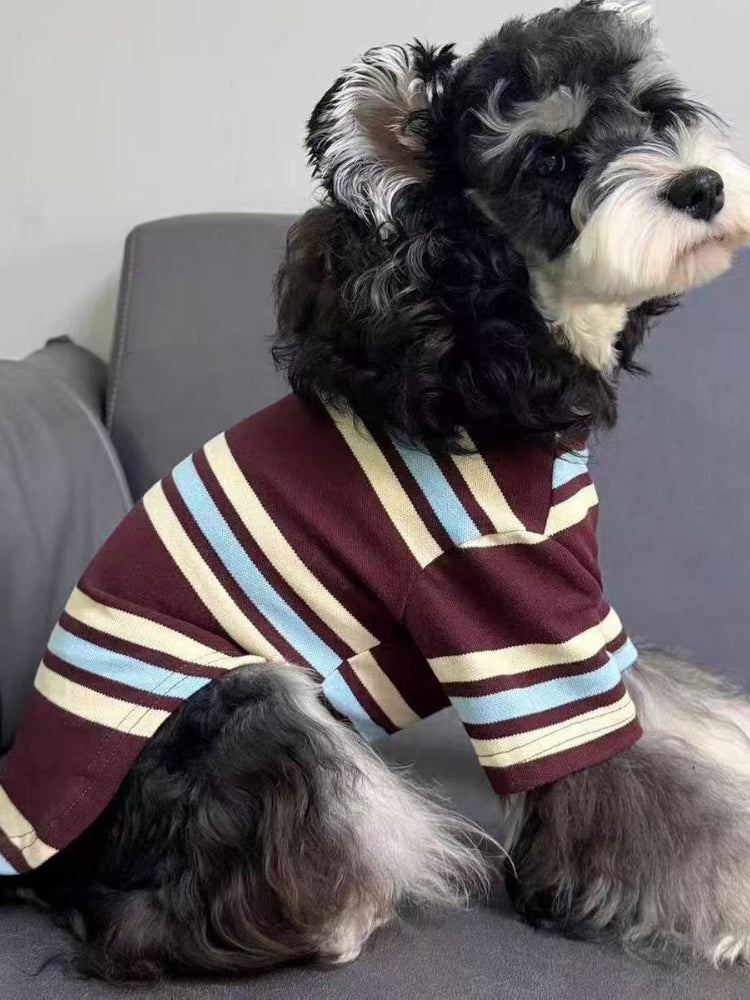 Side view of a miniature schnauzer dog wearing a striped long-sleeved shirt.