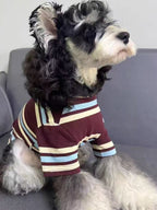 A miniature schnauzer dog looking to the side while wearing a striped long-sleeved shirt.
