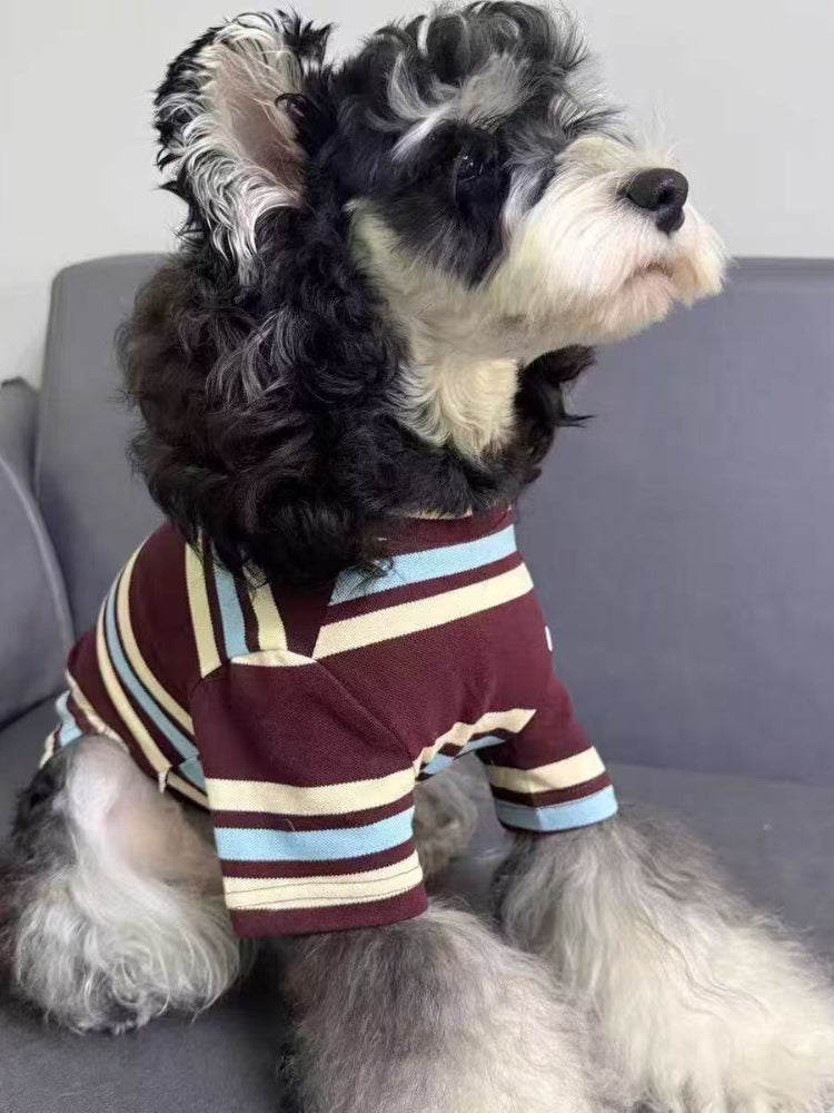 A miniature schnauzer dog looking to the side while wearing a striped long-sleeved shirt.
