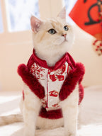 A light-colored cat wearing a red and white traditional Chinese-style vest with floral embroidery and red faux fur trim, looking upwards.
