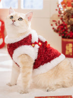 A cream-colored cat wearing a red and white festive vest with a lion dance embellishment, looking upwards.