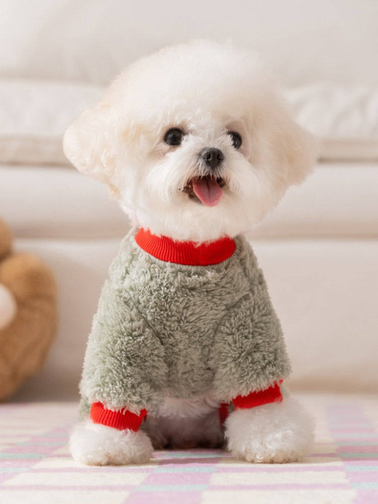 A fluffy white Bichon Frise dog sits facing forward, wearing a light green fleece dog jumpsuit with red cuffs and collar. The dog has its tongue slightly out and is looking at the camera.