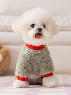A fluffy white Bichon Frise dog sits facing forward, wearing a light green fleece dog jumpsuit with red cuffs and collar. The dog has its tongue slightly out and is looking at the camera.