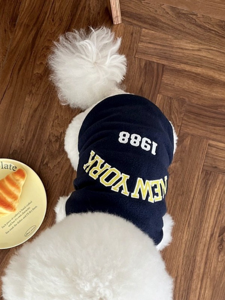 Top view of a white poodle wearing a navy blue baseball jacket with 'New York 1988' on the back.