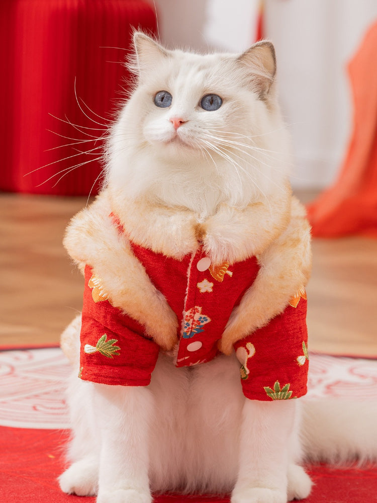 A white cat with blue eyes wearing a red traditional Chinese jacket with embroidered floral patterns and faux fur trim, looking to the side.