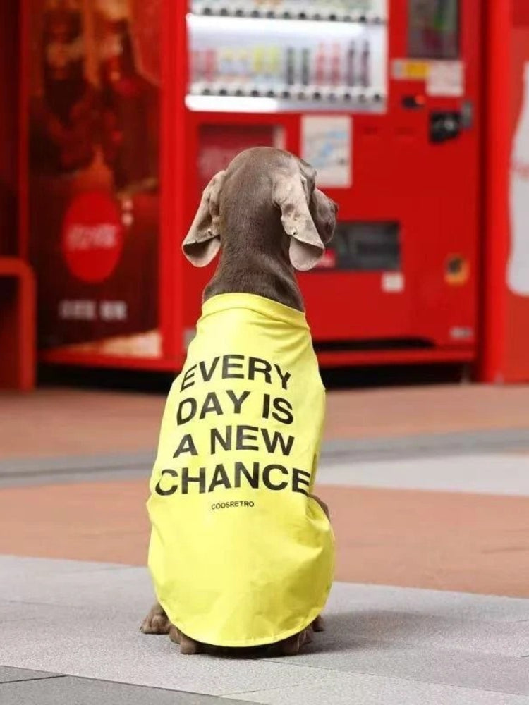 Yellow Graphic T-Shirt For Large Dogs Breathable Summer