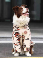 A brown and white Border Collie dog sits outdoors wearing a cream-colored fleece hoodie with a geometric pattern.
