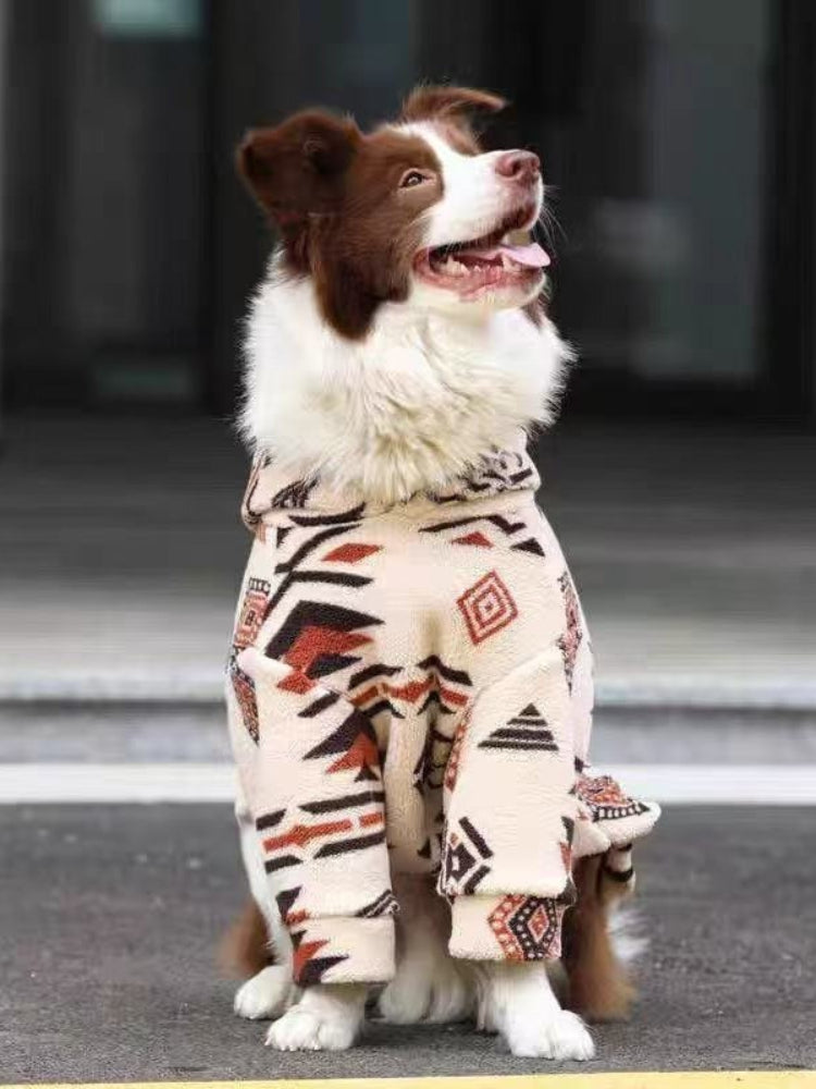A brown and white Border Collie dog sits outdoors wearing a cream-colored fleece hoodie with a geometric pattern.