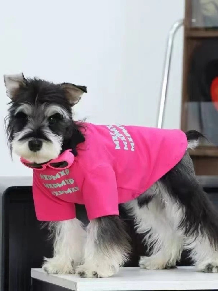 Three-quarter view of a miniature schnauzer dog in a pink t-shirt and sunglasses