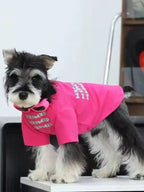 Three-quarter view of a miniature schnauzer dog in a pink t-shirt and sunglasses