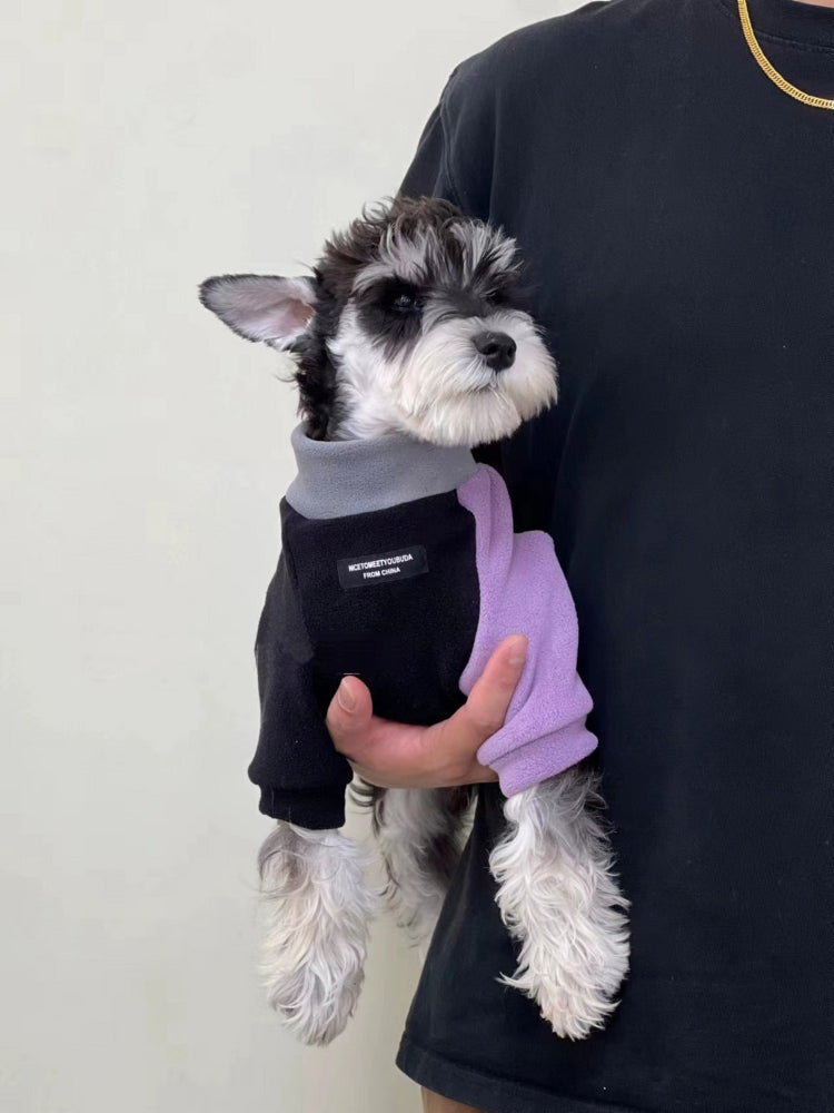 A person holding a Miniature Schnauzer dog, both wearing casual attire. The dog is dressed in a black and lavender fleece sweater.