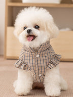 A white bichon frise dog wearing a brown plaid dog vest with white buttons and ruffled sleeves, sitting indoors.