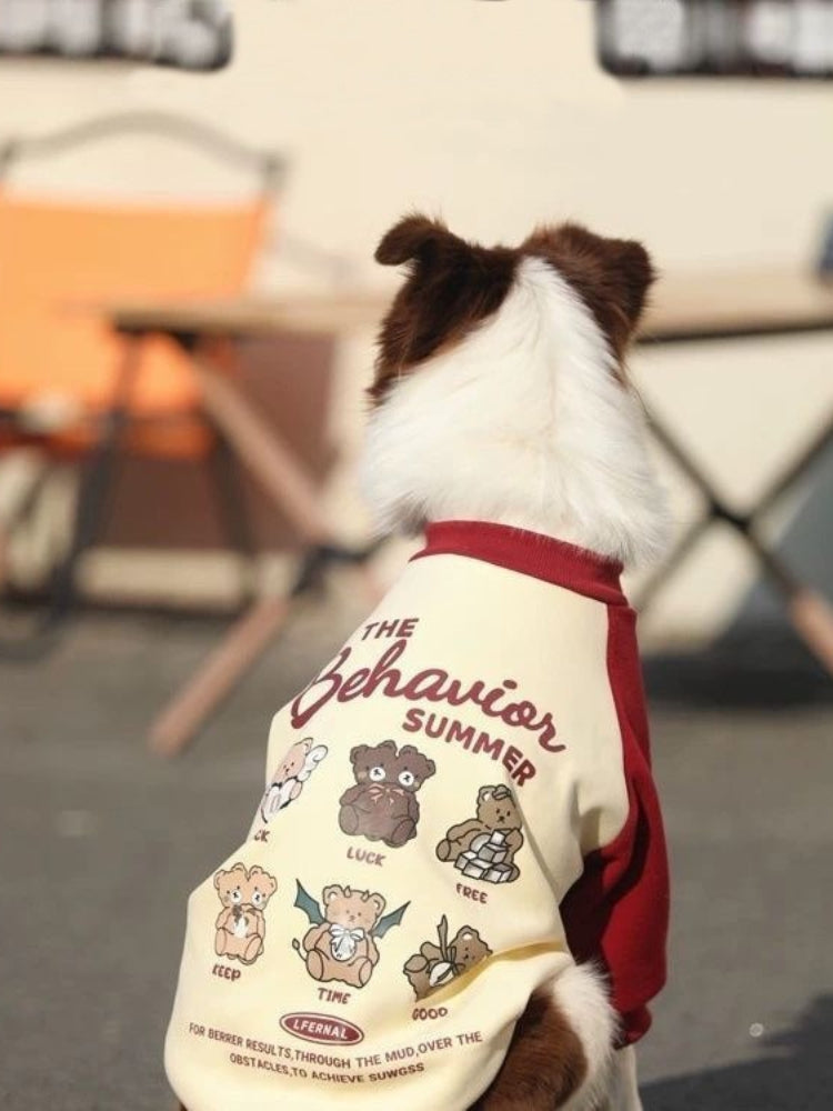 Rear view of a brown and white Border Collie dog wearing a cream and maroon dog sweater with a graphic print.