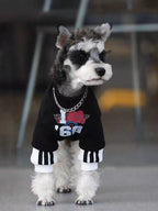 Front view of a Mini Schnauzer dog wearing a black graphic print sweater