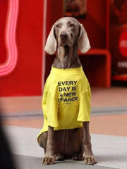 Yellow Graphic T-Shirt For Large Dogs Breathable Summer